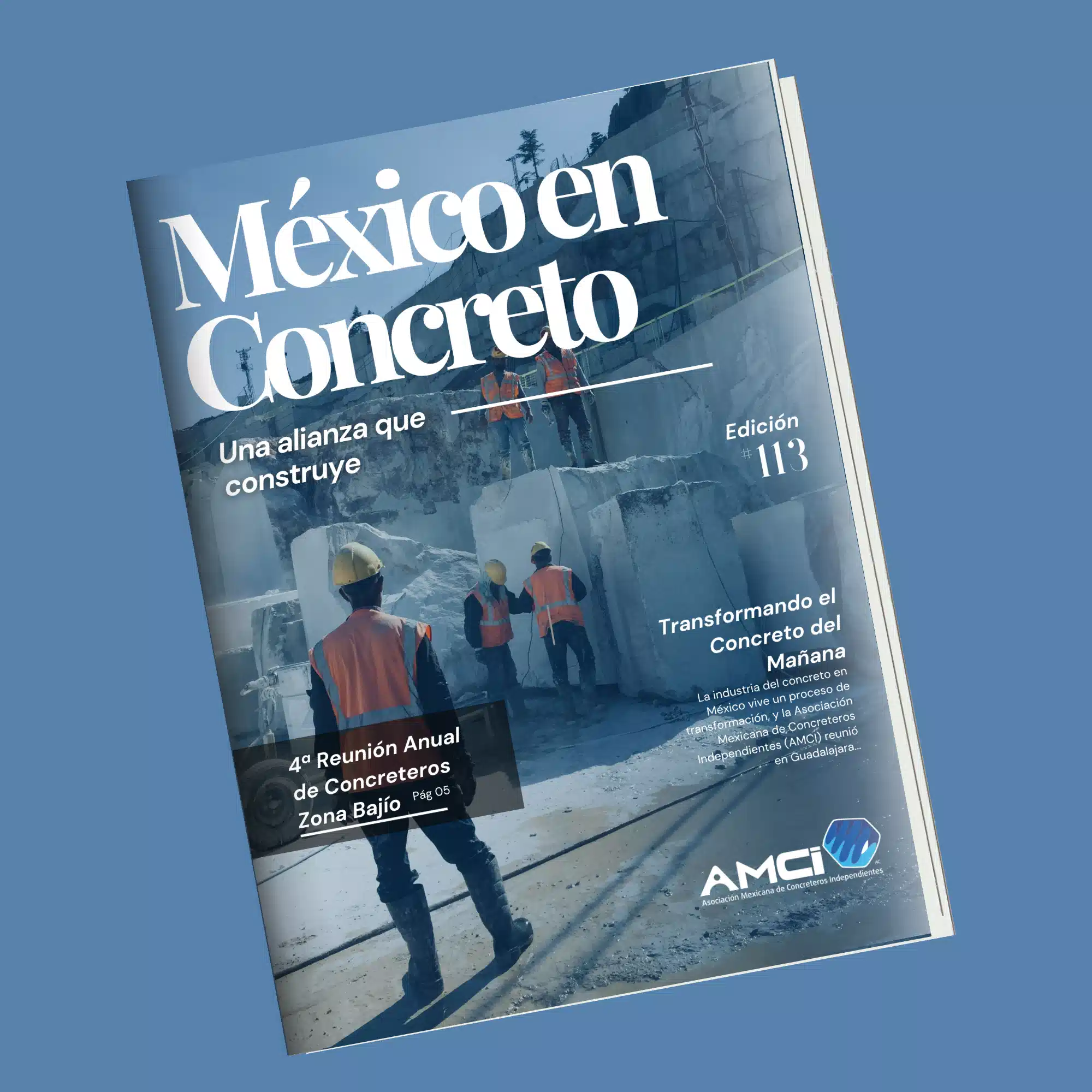 Edición 113